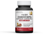 Cordyceps+ 冬虫夏草 | Panax Ginseng X Reishi Mushroom